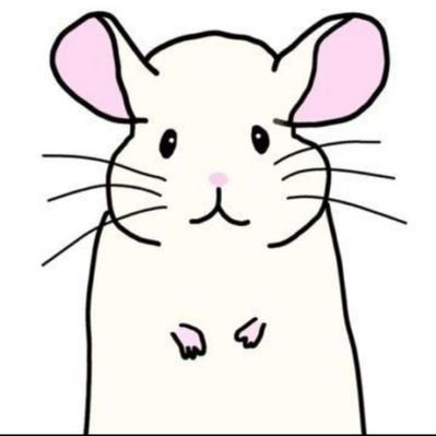 mouse_soft_y's profile picture