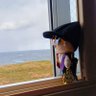 だいふく profil fotoğrafı