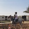 المها's profile picture