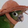 Jorge's profile picture
