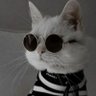 Фото профиля Lusita😎