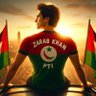 Zarab Khan's profile picture