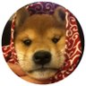 Фото профиля dogwifscarf