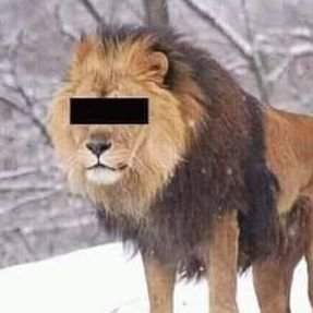 nsfwtwt_daddy's profile picture