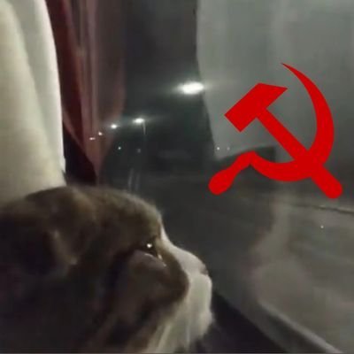 atodorov31's profile picture