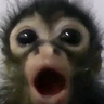 Profilbild von :0