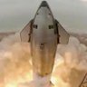 TESLA and Chill 🇺🇸 📈🚀's profile picture