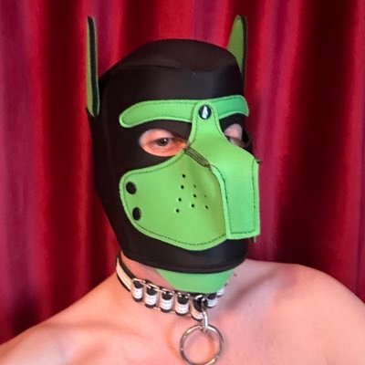 BoxersFun's profile picture