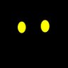 ねここねこ profil fotoğrafı