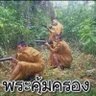 เป็นหยั้งเฮาคือ ร้องไห้'s profile picture