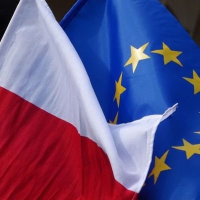 Małgorzata's profile picture
