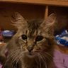 Marley's profile picture