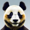 Maltus Panda 的头像
