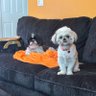 MiMi profil fotoğrafı
