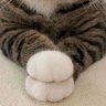 🦉Nabilla9🩷🎀🫶🏻🇵🇸 profil fotoğrafı