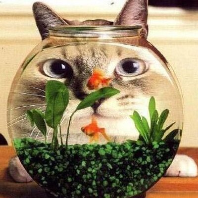 moja_sen's profile picture