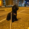 Moises profil fotoğrafı