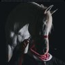 amricato's profile picture
