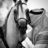 جـابر's profile picture