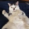 Michael's profile picture