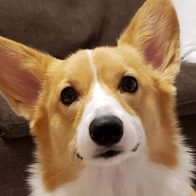 こまち@彩's profile picture