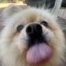 kyuzu's profile picture