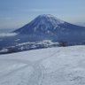 Skier_I 的头像