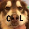 张力Leah's profile picture