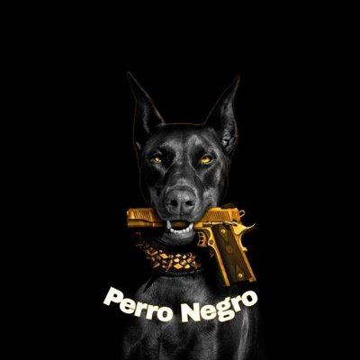 P3rroNegr0's profile picture