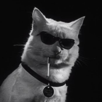 Out of context Violence's profile picture