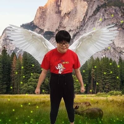 sekimachin's profile picture