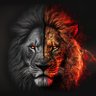 CSO Arcanine's profile picture