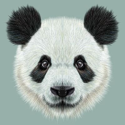 pandalatino_'s profile picture