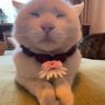eulacuteuwu 🍉 profil fotoğrafı