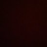 ر's profile picture