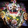 Фото профиля Indian