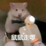 Profilbild von v我v我 🛹🛹