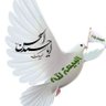 Profilbild von ابو ابرار
