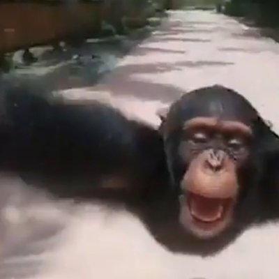 ClipsGoesViral's profile picture
