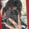Khudair profil fotoğrafı