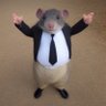 Peter Edward's profile picture