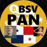 $BsvPanama's profile picture