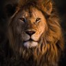 LionHunterEats's profile picture
