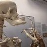 Gamervid125 profil fotoğrafı