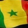 THIO AIDARA's profile picture