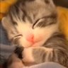 bIasé's profile picture