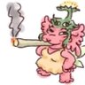 Luki's profile picture