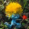 🕊️Sunshine Sonnenschein🥨🥩🍻🥨 profil fotoğrafı