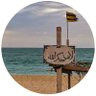 احمد's profile picture