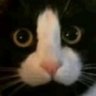 Profilbild von Nguyet